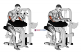 Lever Triceps Extension