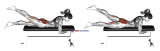 Lying Alternate Hip Extension