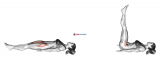Lying Hip Straight Leg Raise