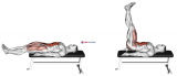 Lying Leg Raise Flat Bench