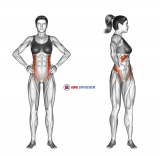 Middle Back Stretch