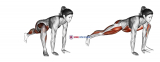 Mountain Climber Lunge