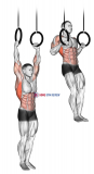 Muscle Up