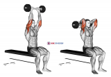 Olympic Barbell Triceps Extension