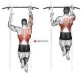 One Arm Chin-Up