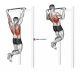 Pull-up