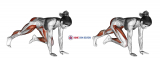 Push-up (knee chest)