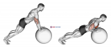 Push-up (on stability ball)
