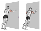 Push-up (wall) (version 2)