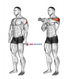 Rear Deltoid Stretch
