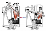 Reverse grip machine lat pulldown