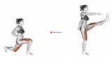 Reverse Lunge (leg kick)