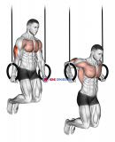 Ring Dips