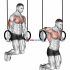 Rocky Pull-Up Pulldown