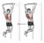 Scapular Pull-Up