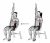 Seated Lower Back Stretch