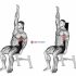 Seated Side Crunch (Wall)