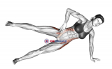 Side Bridge Hip Abduction