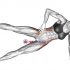Side Bridge Hip Abduction (star)