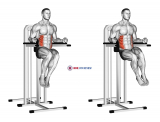 Side Hip (on parallel bars)