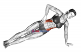 Side Plank (version 2)