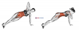 Side Stretch Crunch