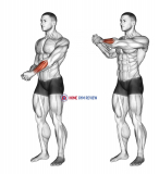 Side Wrist Pull Stretch
