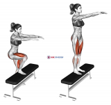 Single Leg Step-up