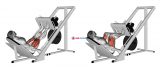 Sled 45° Leg Press