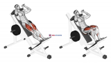 Sled Hack Squat