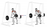 Smith Rear Delt Row