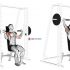 Smith Seated Shoulder Press