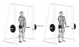 Smith Shrug