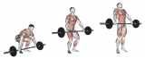 Snatch Pull