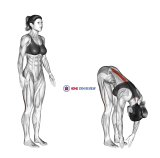 Standing Hamstring Stretch