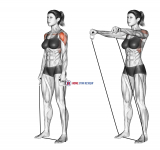 Standing Lateral Raise (with band)