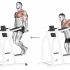Triceps Dip (between benches)