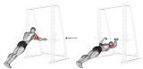 Triceps Press