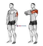 Triceps Stretch