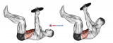 Weighted Crunch
