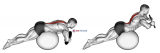 Weighted Hyperextension (on stability ball)