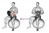 Weighted Seated Twist (on stability ball)