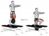 Weighted Squat