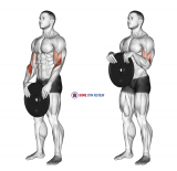 Weighted Standing Curl