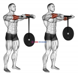 Wrist Roller
