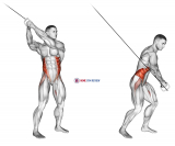 Cable twist (up-down)