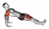 Reverse plank
