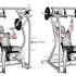 Lever Decline Chest Press