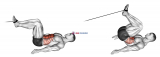 Cable Reverse Crunch