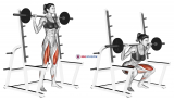 Barbell Full squat (with rack)